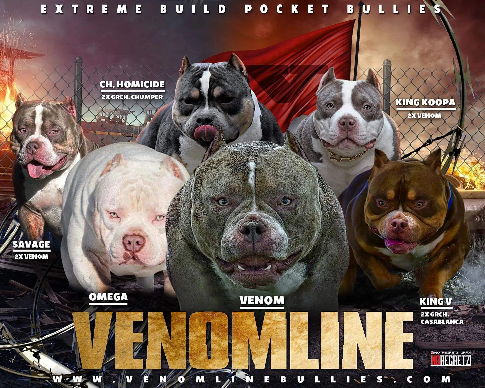 venomline pocket bullies review Bully studs