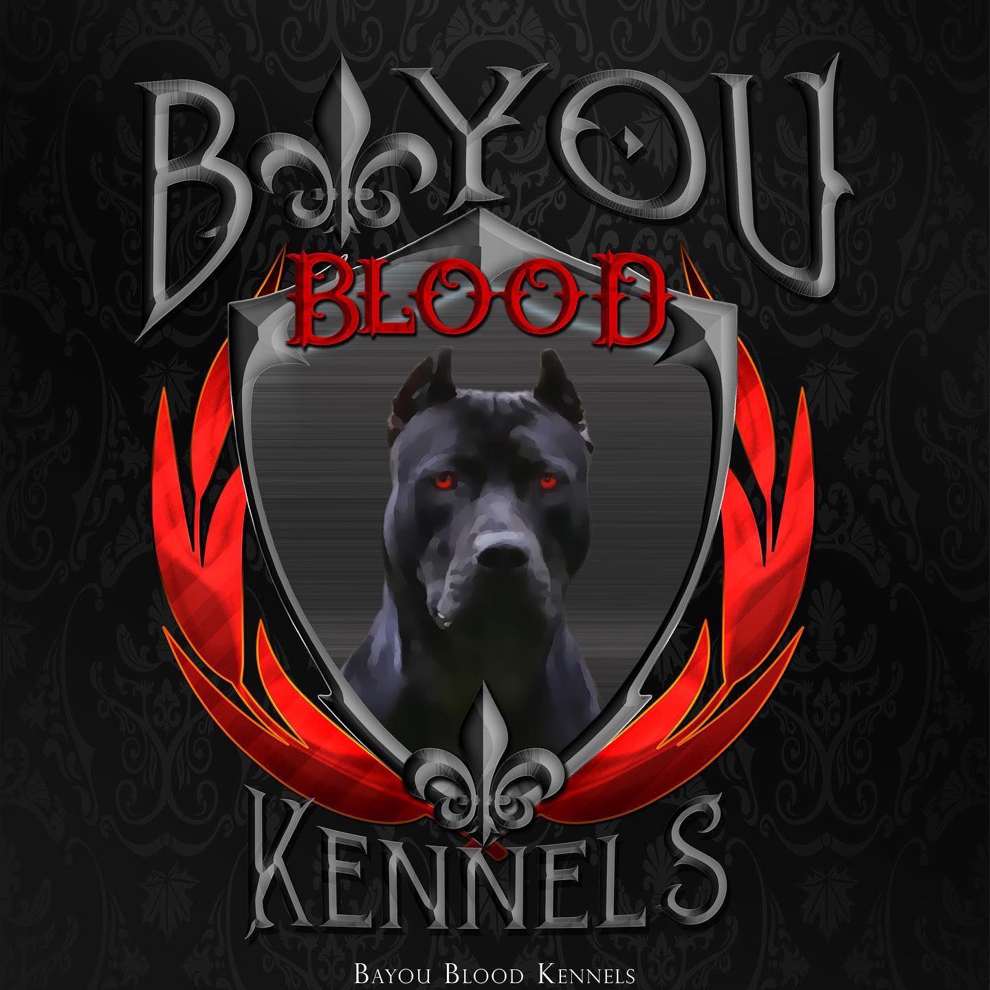Bayou Blood Kennels Reviews Bayou Bully Bullies Complaints